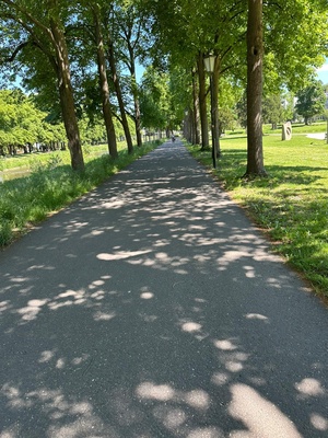 Allee an der Ahr Allee an der Ahr
