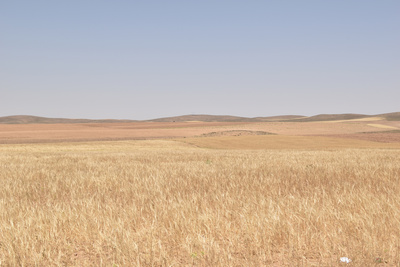 desert desert