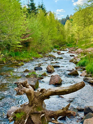 Forbach_2 Forbach_2