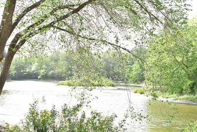 nature nature