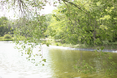 nature nature