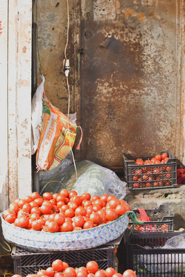 Tomato