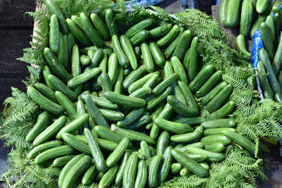 Cucumber Cucumber