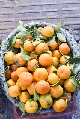 Orange in basket Orange in basket
