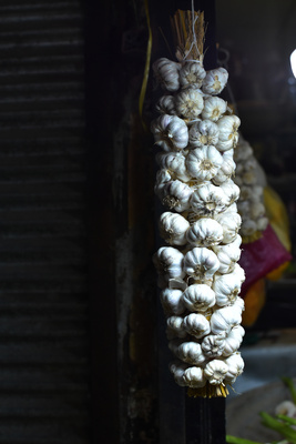 Garlic Garlic