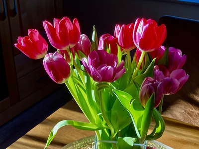 Tulpenstrauß Tulpenstrauß