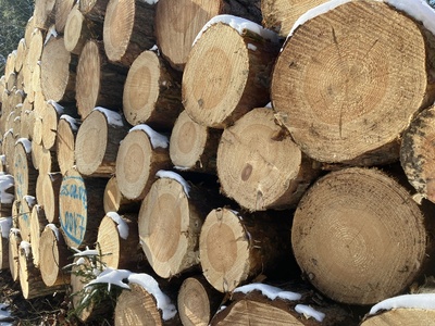 Holzstapel Holzstapel