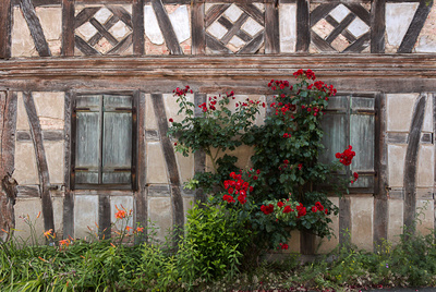 Fassade Fassade