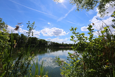 Naturbadesee Naturbadesee