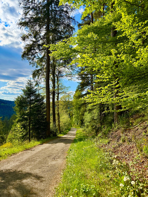 Wanderweg talwärts Wanderweg talwärts