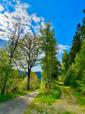 Wandern im Schwarzwald Wandern im Schwarzwald