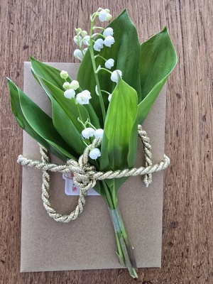 Geschenk mit Maiglöckchen Geschenk mit Maiglöckchen