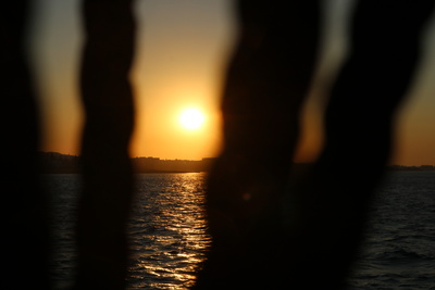 Die Sonne zwischen den Tauen Die Sonne zwischen den Tauen