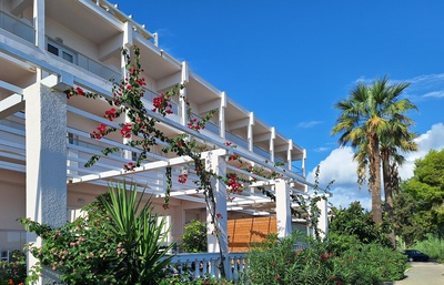 mediterane Fassade mit Palmen mediterane Fassade mit Palmen