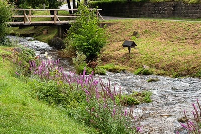 Kleiner Wildbach Kleiner Wildbach