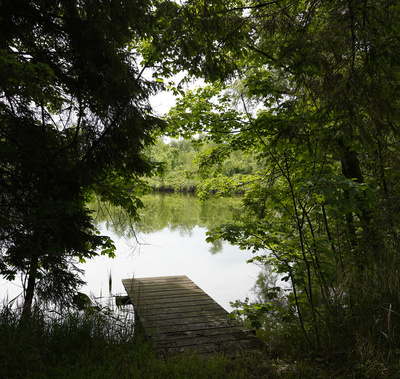 Weiher mit altem Badesteg Weiher mit altem Badesteg