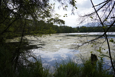 kleiner See mit Rundweg kleiner See mit Rundweg