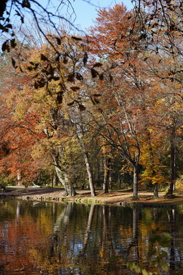 Parkweiher im Herbst