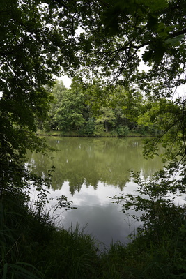 idyllischer Fischweiher idyllischer Fischweiher