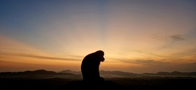 Sonnenaufgang auf dem Loewenfelsen