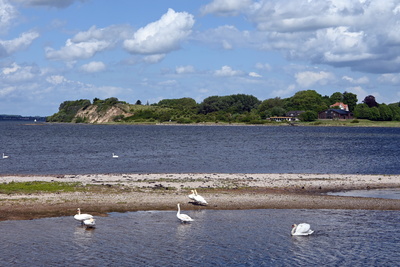 Naturschutzgebiet auf Holnis Naturschutzgebiet auf Holnis