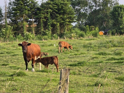Zusammen mit Mama Zusammen mit Mama