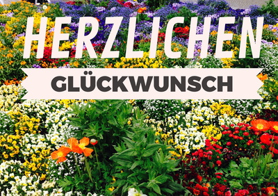 Herzlichen Glückwunsch Herzlichen Glückwunsch