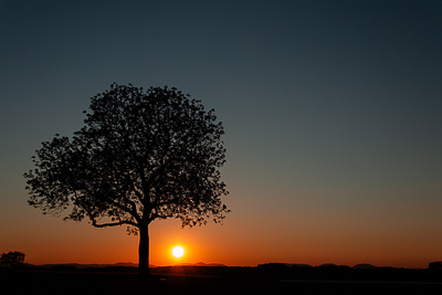 Die letzten Sonnenstrahlen Die letzten Sonnenstrahlen