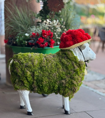 Gartenschau-Botschafter mit Bollenhut Gartenschau-Botschafter mit Bollenhut