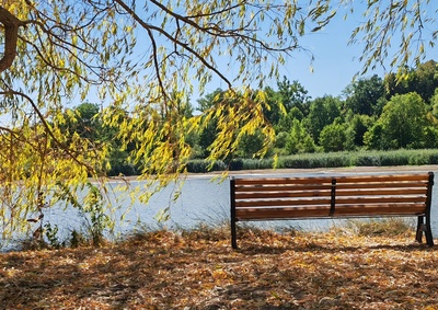 Bank am See Bank am See
