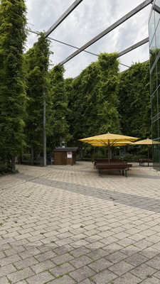 Vertikale Gärten Vertikale Gärten