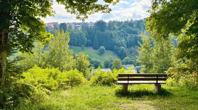 Aussichtsbank am kFinkenberg Aussichtsbank am kFinkenberg