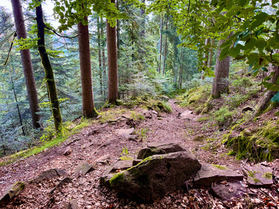 MTB-Trail in Freudenstadt MTB-Trail in Freudenstadt