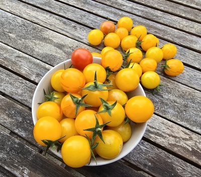 Tigertomaten