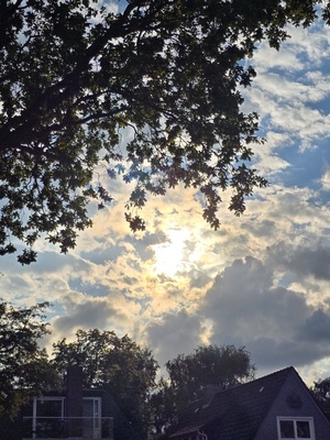 Sonnenschein