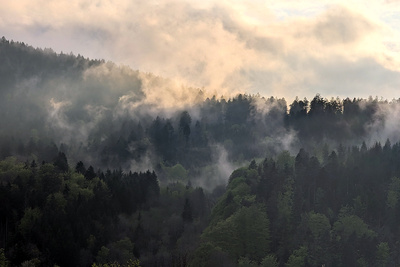 Nach dem Regen