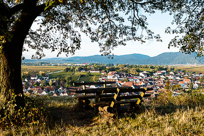 Bank mit Aussicht