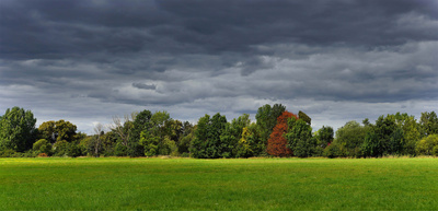 Waldrand