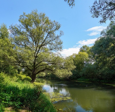 An der Lippe bei Lippstadt