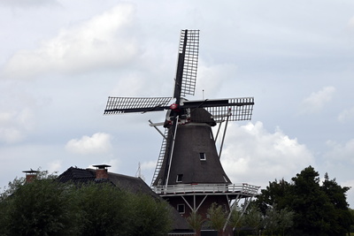 Windmühle bei Moddergat