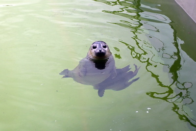Was guckst du?