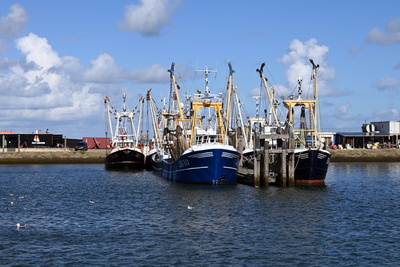 Fischkutter im Hafen Fischkutter im Hafen