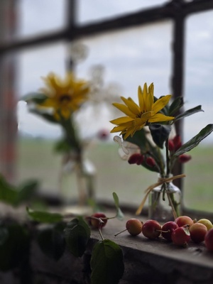 Blumen am Fenster Blumen am Fenster
