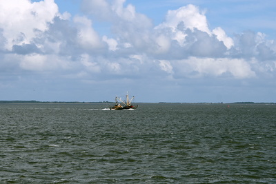 Fischkutter bei der Arbeit Fischkutter bei der Arbeit