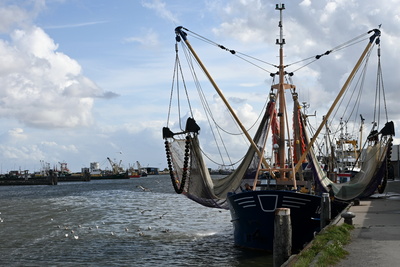 Fischkutter beim Entladen Fischkutter beim Entladen