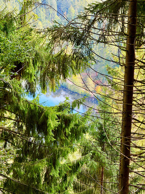 Blick auf den Sankenbachsee Blick auf den Sankenbachsee