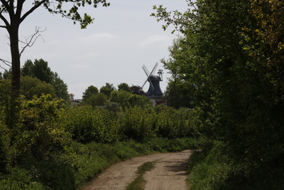 Blick auf die Mühle „Anna“, Rieseby Blick auf die Mühle „Anna“, Rieseby