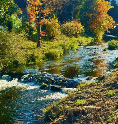 Herbstlicher Forbach in Baiersbronn