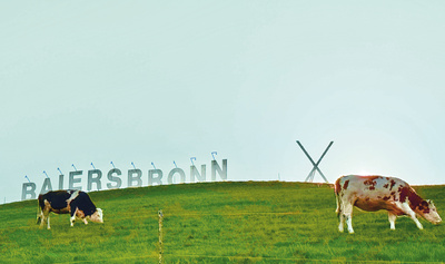 Viehweide mit Baiersbronn-Logo Viehweide mit Baiersbronn-Logo