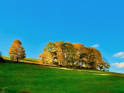 Viehweide im Herbst Viehweide im Herbst